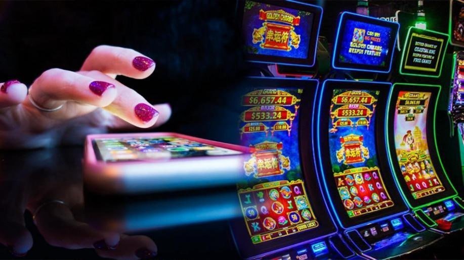 456e Sports Betting connecting cricket interest with broader platform navigation